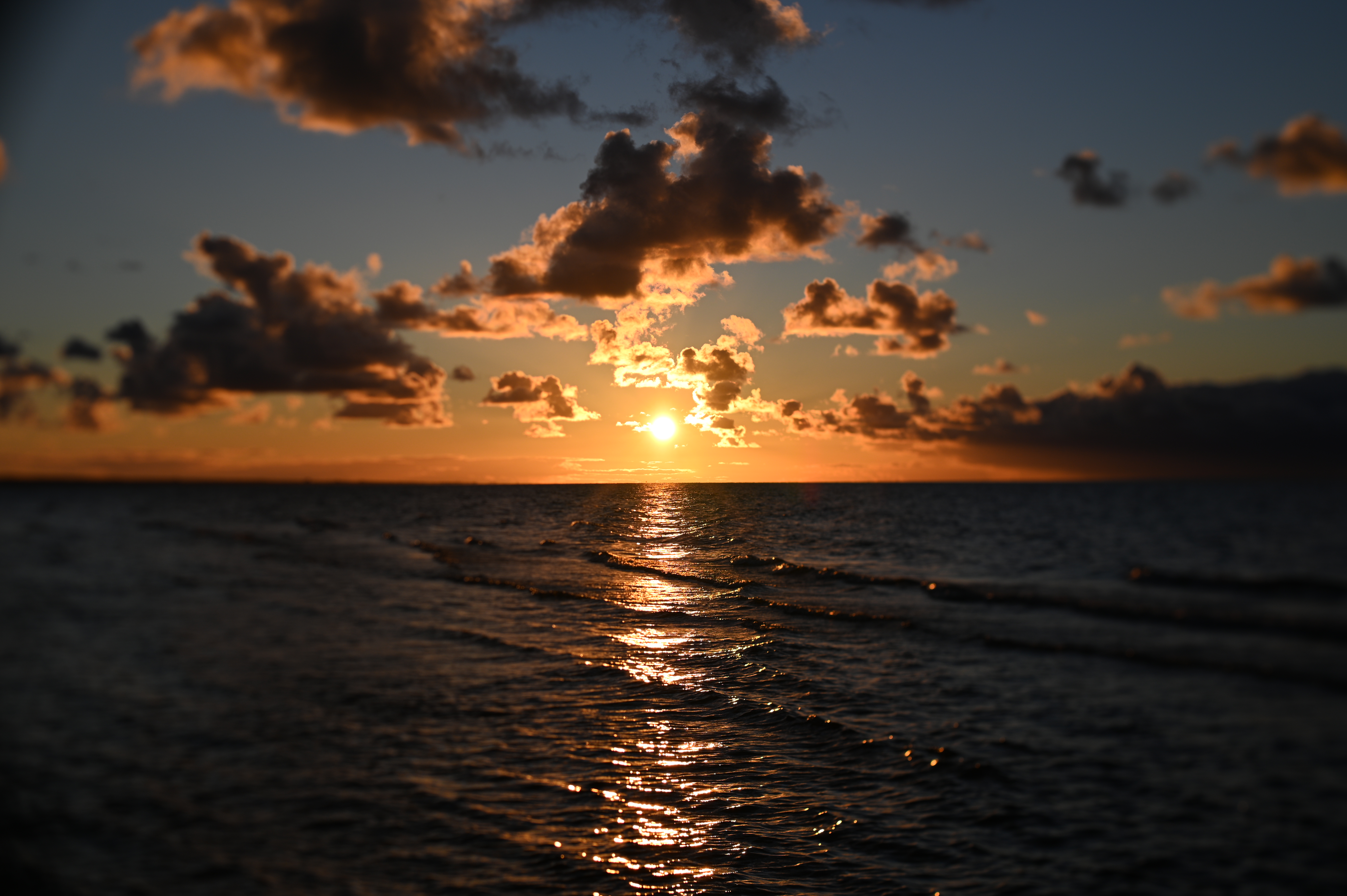 2025/10/18 - walk/DSC_0372.JPG